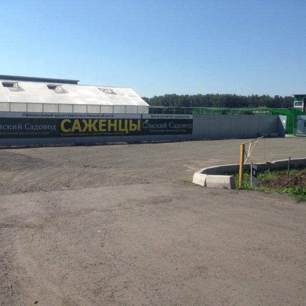 Фотоотчеты - Интернет-магазин саженцев "Омский Садовод"