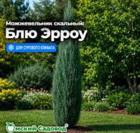 Питомник Омский Садовод