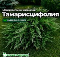 Питомник Омский Садовод
