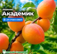Питомник Омский Садовод
