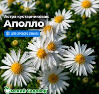 Питомник Омский Садовод