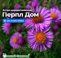 Питомник Омский Садовод