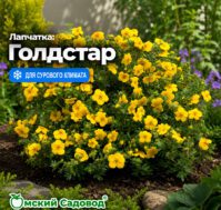 Питомник Омский Садовод