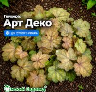 Питомник Омский Садовод
