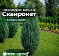 Питомник Омский Садовод