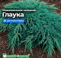 Питомник Омский Садовод