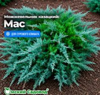 Питомник Омский Садовод