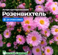 Питомник Омский Садовод