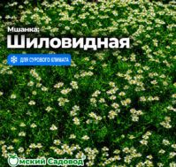 Питомник Омский Садовод