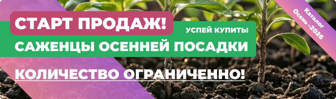 кол-во ограничено