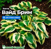 Питомник Омский Садовод
