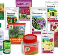 Защита растений