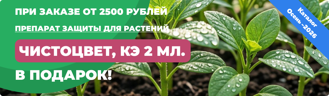 чистоцвет