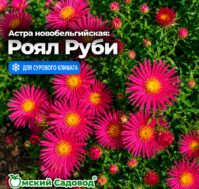 Питомник Омский Садовод