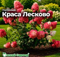 Питомник Омский Садовод