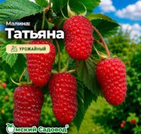 Питомник Омский Садовод