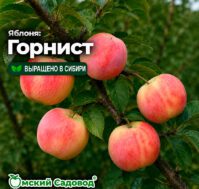 Питомник Омский Садовод