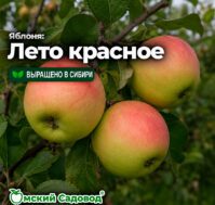 Питомник Омский Садовод