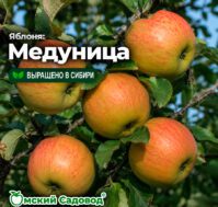 Питомник Омский Садовод