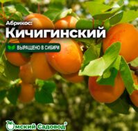 Питомник Омский Садовод