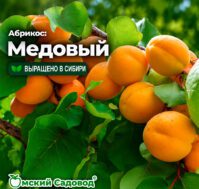 Питомник Омский Садовод