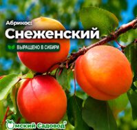 Питомник Омский Садовод