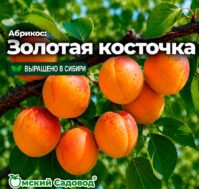 Питомник Омский Садовод