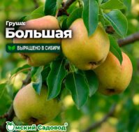 Питомник Омский Садовод