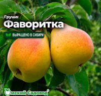 Питомник Омский Садовод