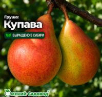 Питомник Омский Садовод