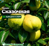 Питомник Омский Садовод