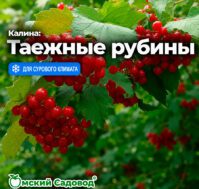 Питомник Омский Садовод