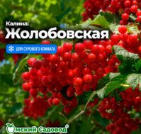 Питомник Омский Садовод