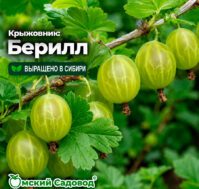 Питомник Омский Садовод