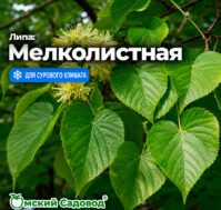 Питомник Омский Садовод
