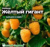 Питомник Омский Садовод