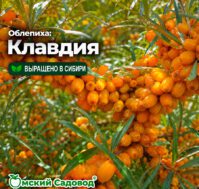 Питомник Омский Садовод