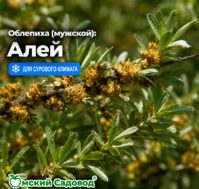 Питомник Омский Садовод