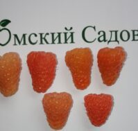 Питомник Омский Садовод