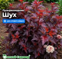 Питомник Омский Садовод