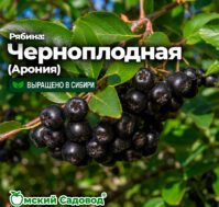 Питомник Омский Садовод