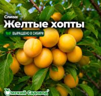 Питомник Омский Садовод