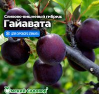 Питомник Омский Садовод