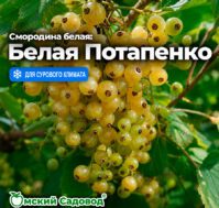 Питомник Омский Садовод