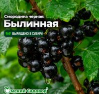 Питомник Омский Садовод