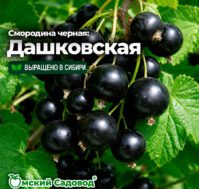 Питомник Омский Садовод