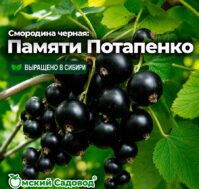 Питомник Омский Садовод