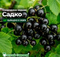 Питомник Омский Садовод