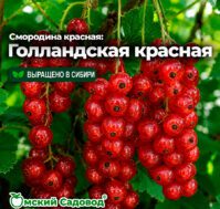 Питомник Омский Садовод