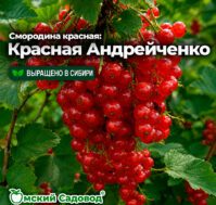 Питомник Омский Садовод